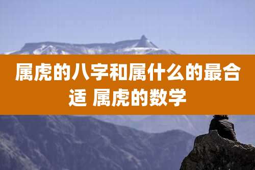 属虎的八字和属什么的最合适 属虎的数学