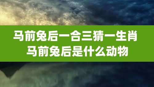 马前兔后一合三猜一生肖 马前兔后是什么动物