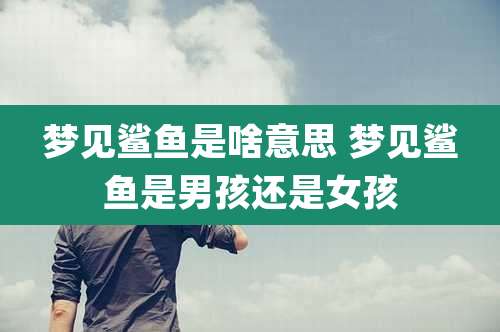 梦见鲨鱼是啥意思 梦见鲨鱼是男孩还是女孩