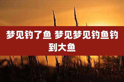 梦见钓了鱼 梦见梦见钓鱼钓到大鱼