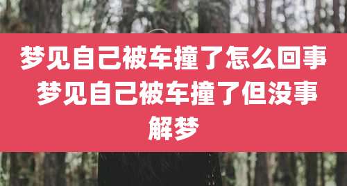 梦见自己被车撞了怎么回事 梦见自己被车撞了但没事解梦