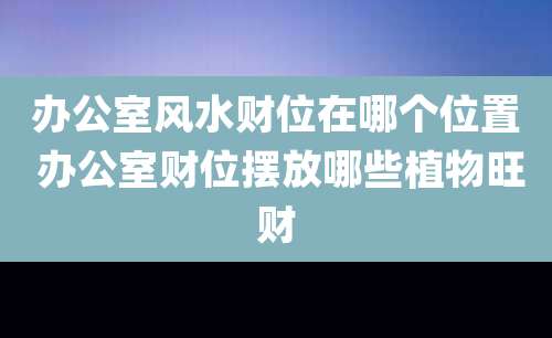 办公室风水财位在哪个位置 办公室财位摆放哪些植物旺财