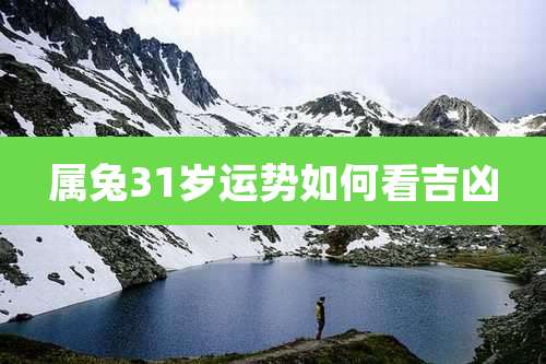 属兔31岁运势如何看吉凶