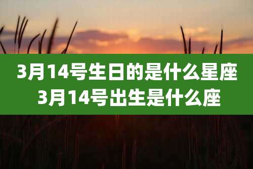 3月14号生日的是什么星座 3月14号出生是什么座