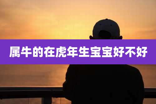属牛的在虎年生宝宝好不好