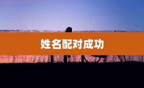 姓名配对成功