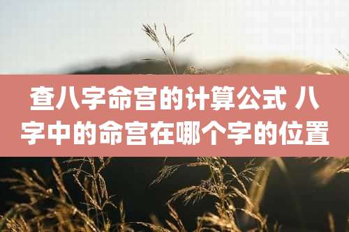 查八字命宫的计算公式 八字中的命宫在哪个字的位置