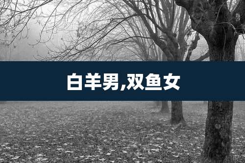 白羊男,双鱼女