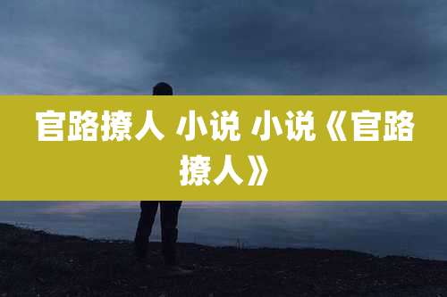 官路撩人 小说 小说《官路撩人》