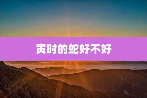 寅时的蛇好不好