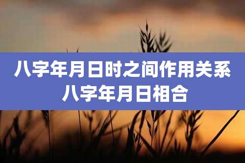 八字年月日时之间作用关系 八字年月日相合