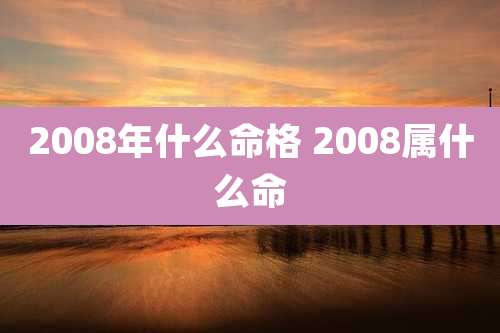 2008年什么命格 2008属什么命