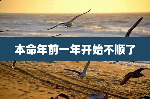 本命年前一年开始不顺了