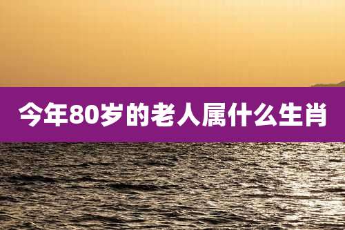 今年80岁的老人属什么生肖