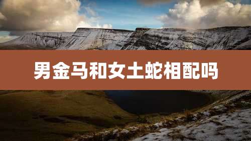 男金马和女土蛇相配吗