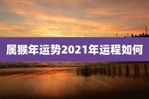 属猴年运势2021年运程如何