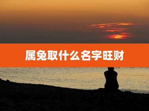 属兔取什么名字旺财