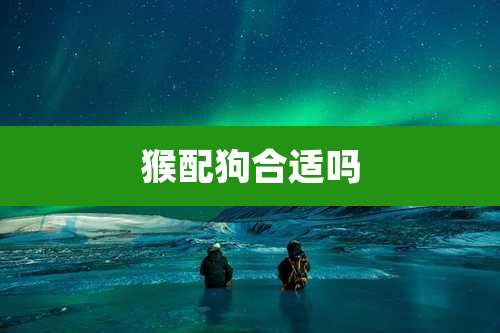 猴配狗合适吗