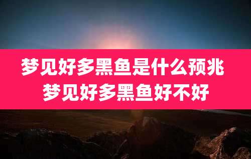 梦见好多黑鱼是什么预兆 梦见好多黑鱼好不好