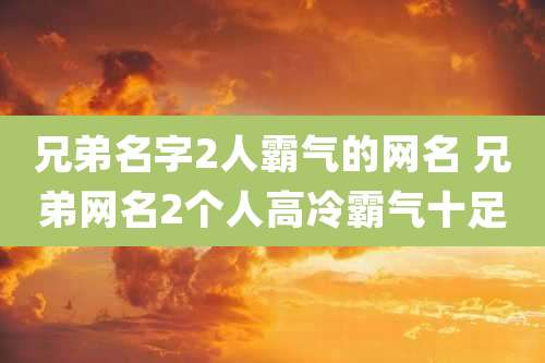 兄弟名字2人霸气的网名 兄弟网名2个人高冷霸气十足
