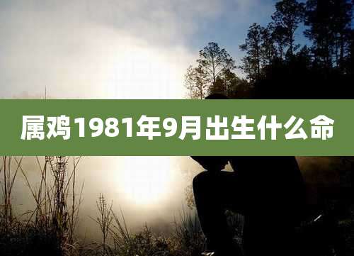 属鸡1981年9月出生什么命