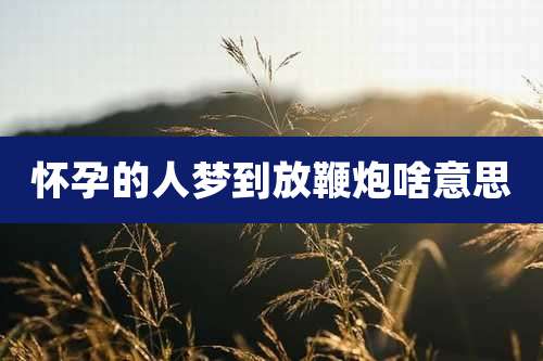 怀孕的人梦到放鞭炮啥意思