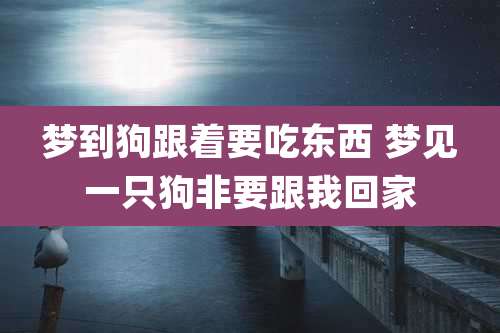 梦到狗跟着要吃东西 梦见一只狗非要跟我回家