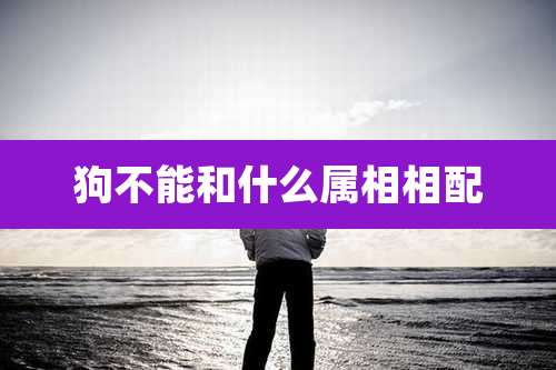 狗不能和什么属相相配