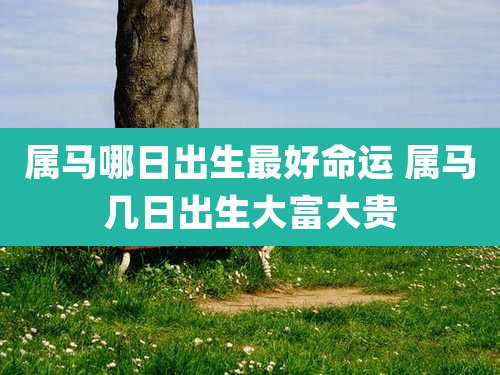属马哪日出生最好命运 属马几日出生大富大贵