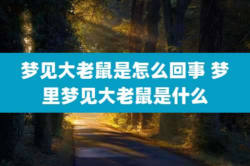梦见大老鼠是怎么回事 梦里梦见大老鼠是什么