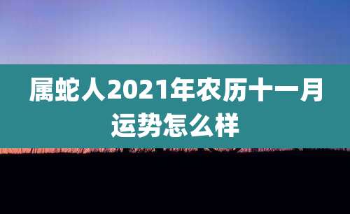 属蛇人2021年农历十一月运势怎么样