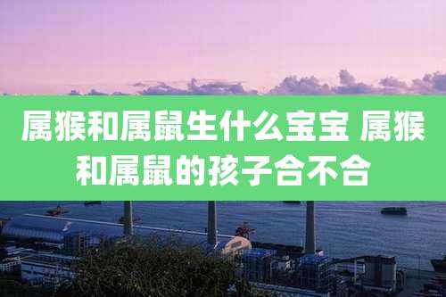 属猴和属鼠生什么宝宝 属猴和属鼠的孩子合不合