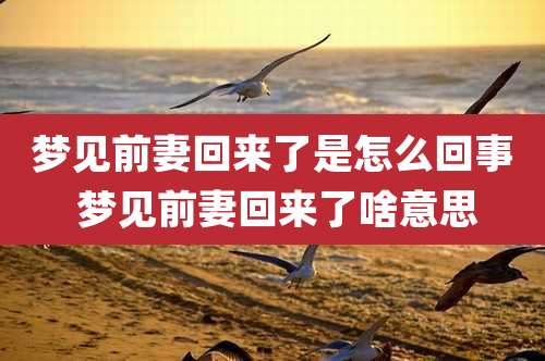 梦见前妻回来了是怎么回事 梦见前妻回来了啥意思