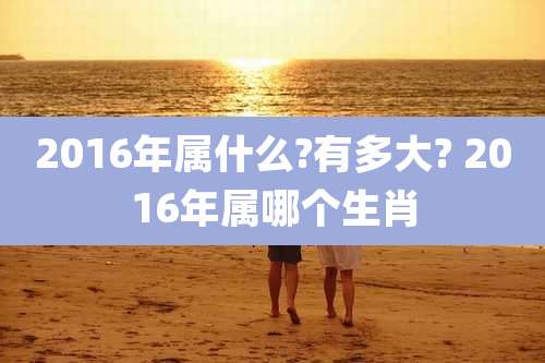 2016年属什么?有多大? 2016年属哪个生肖