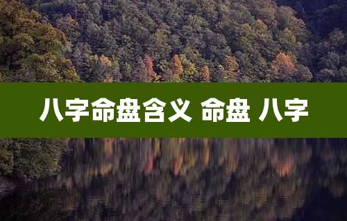八字命盘含义 命盘 八字
