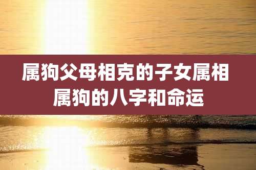 属狗父母相克的子女属相 属狗的八字和命运
