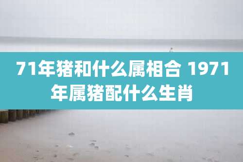 71年猪和什么属相合 1971年属猪配什么生肖