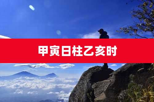 甲寅日柱乙亥时