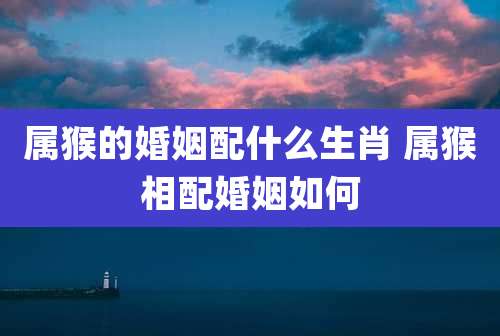 属猴的婚姻配什么生肖 属猴相配婚姻如何
