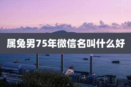 属兔男75年微信名叫什么好