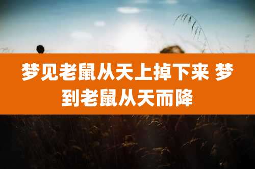 梦见老鼠从天上掉下来 梦到老鼠从天而降