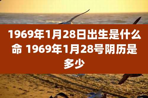 1969年1月28日出生是什么命 1969年1月28号阴历是多少