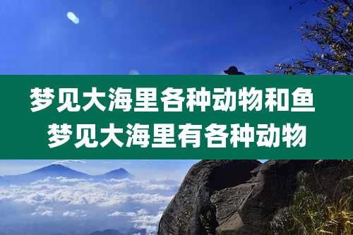 梦见大海里各种动物和鱼 梦见大海里有各种动物