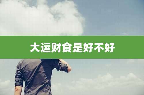大运财食是好不好