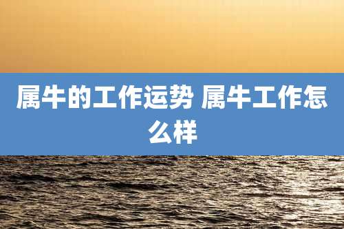 属牛的工作运势 属牛工作怎么样
