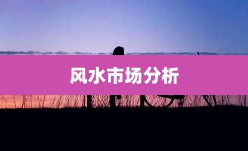 风水市场分析