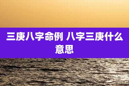 三庚八字命例 八字三庚什么意思