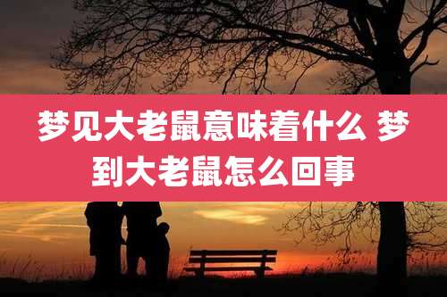 梦见大老鼠意味着什么 梦到大老鼠怎么回事