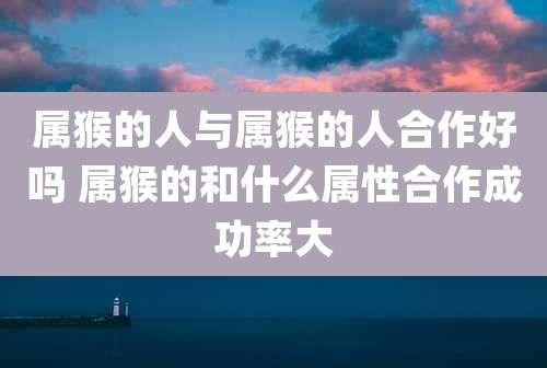 属猴的人与属猴的人合作好吗 属猴的和什么属性合作成功率大