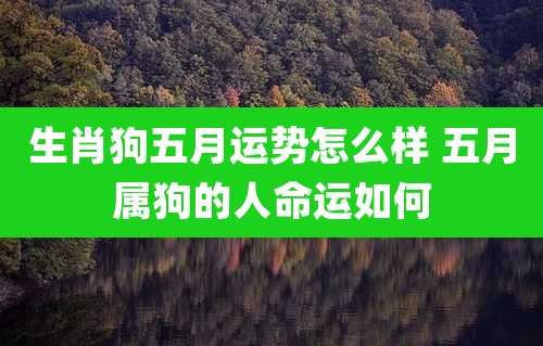 生肖狗五月运势怎么样 五月属狗的人命运如何